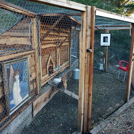 Mountain Top Getaway, Best View In Slo! - Whole House San Luis Obispo Exterior foto