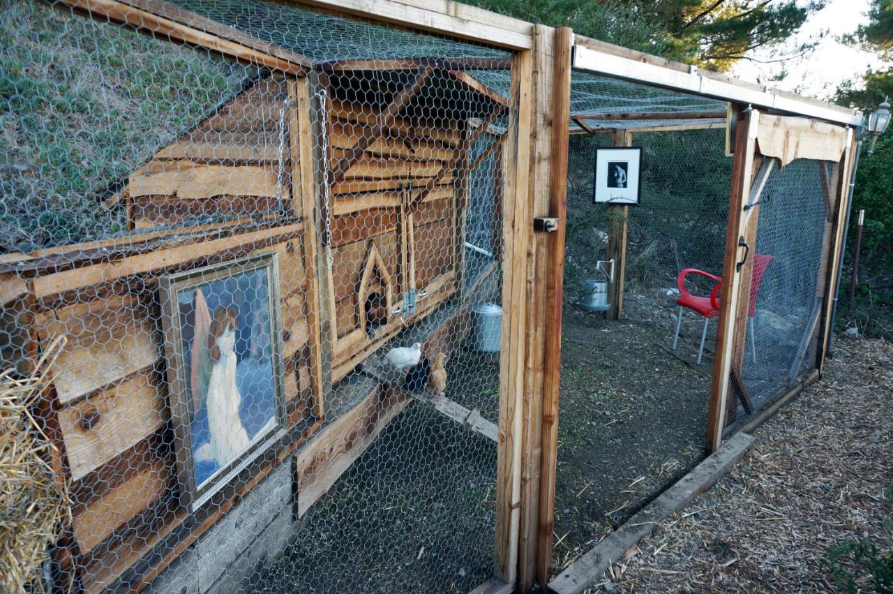 Mountain Top Getaway, Best View In Slo! - Whole House San Luis Obispo Exterior foto