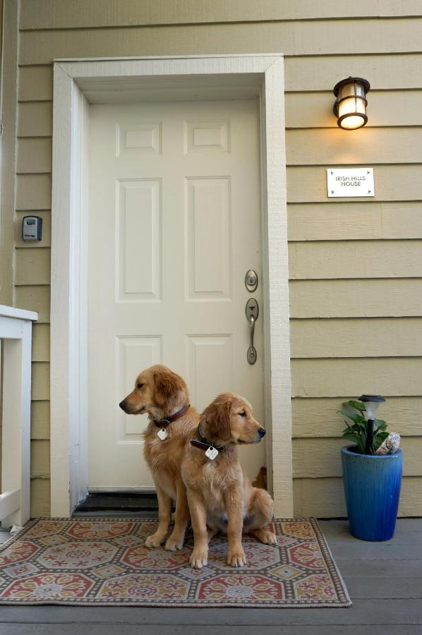 Mountain Top Getaway, Best View In Slo! - Whole House San Luis Obispo Exterior foto